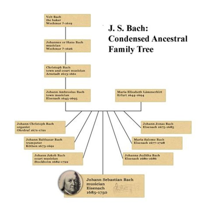 Johann Sebastian Bach - Trivia, Family, Bio